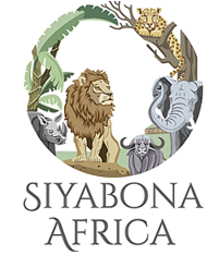 http://johannesburg.hotelguide.co.za